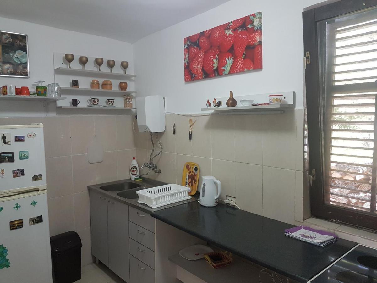 Przic House Apartment Negotin Ngoại thất bức ảnh